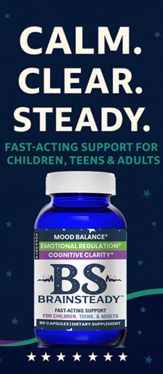 BrainSteady brochure cover