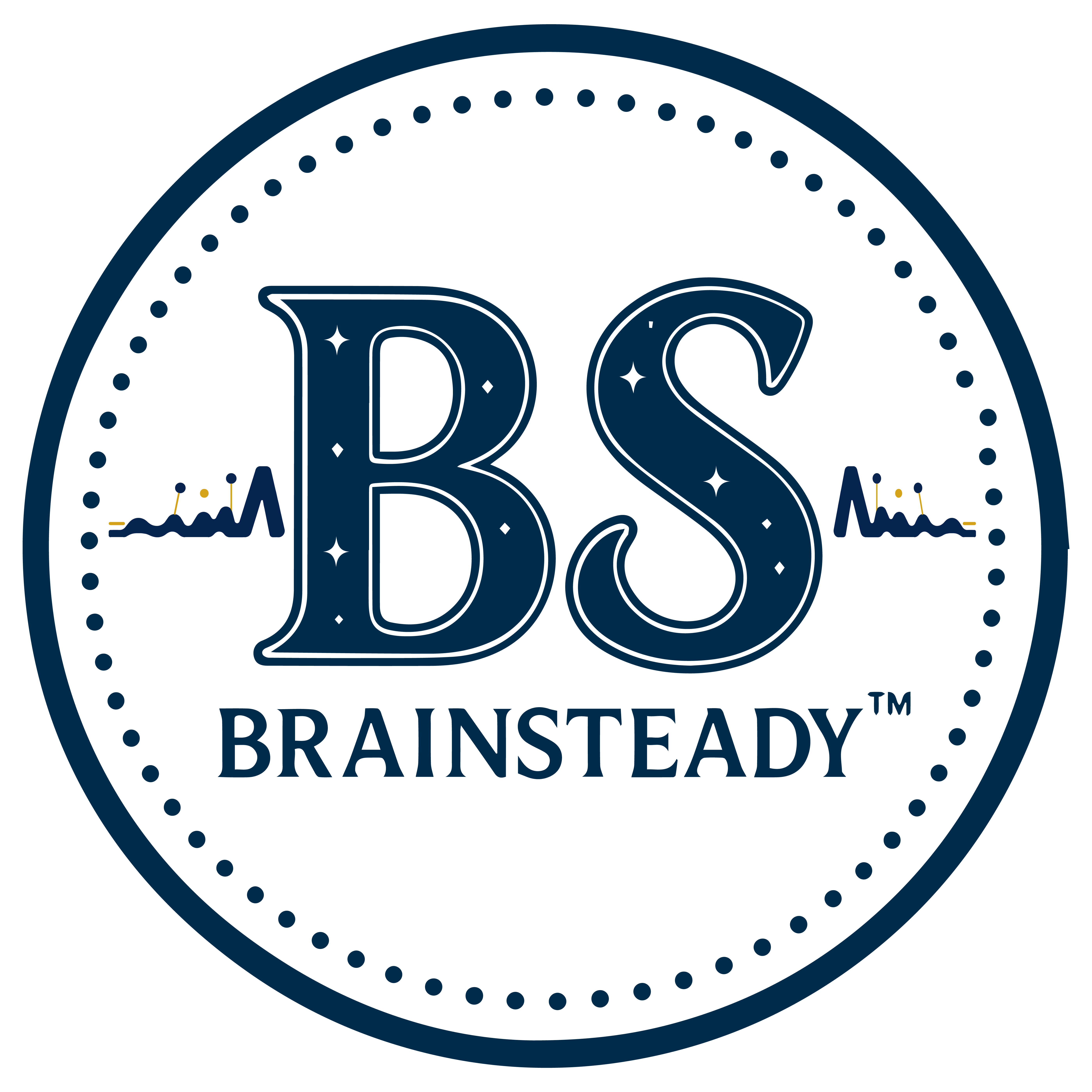 BrainSteady logo
